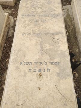 תמונת מצבה