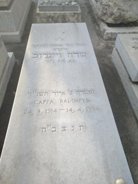 תמונת מצבה