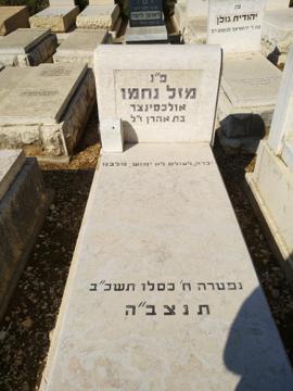 תמונת מצבה