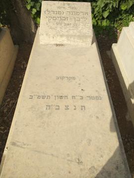 תמונת מצבה