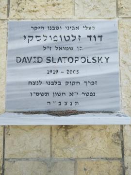 תמונת מצבה