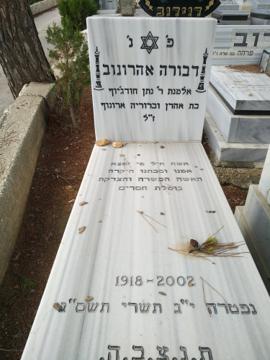 תמונת מצבה