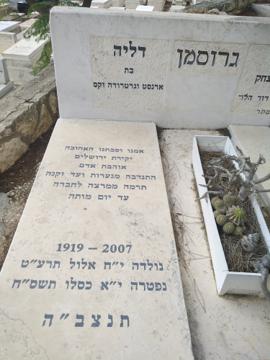 תמונת מצבה