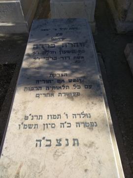 תמונת מצבה