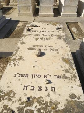 תמונת מצבה