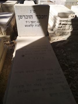 תמונת מצבה