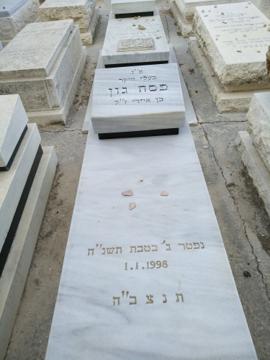 תמונת מצבה