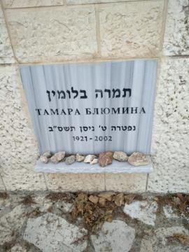 תמונת מצבה