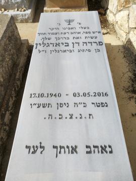 תמונת מצבה