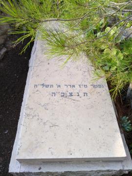 תמונת מצבה