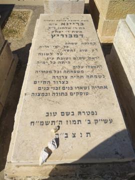 תמונת מצבה