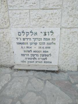 תמונת מצבה