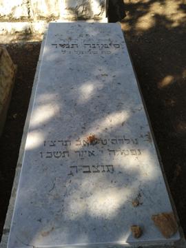 תמונת מצבה