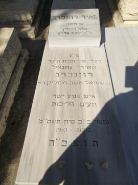 תמונת מצבה
