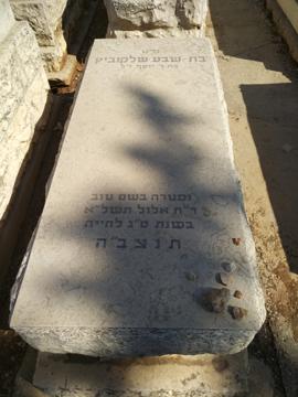 תמונת מצבה