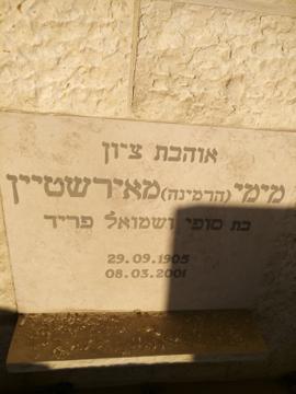 תמונת מצבה