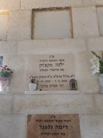 תמונת מצבה