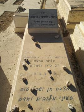 תמונת מצבה