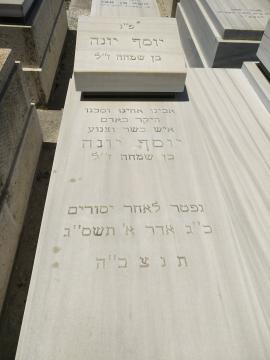תמונת מצבה