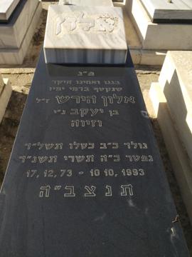 תמונת מצבה