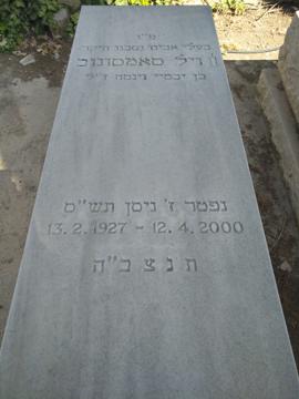 תמונת מצבה