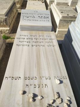 תמונת מצבה