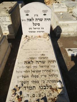 תמונת מצבה