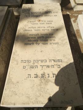 תמונת מצבה