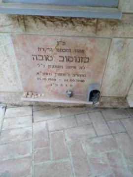 תמונת מצבה