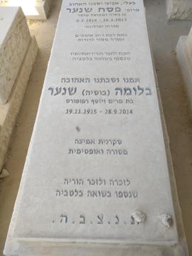 תמונת מצבה