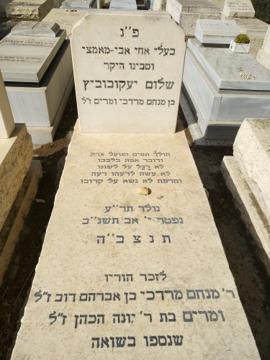 תמונת מצבה