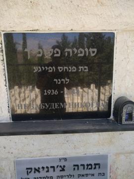 תמונת מצבה