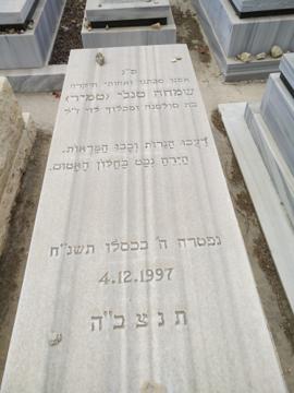 תמונת מצבה