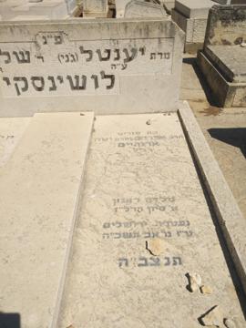 תמונת מצבה