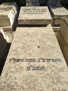 תמונת מצבה