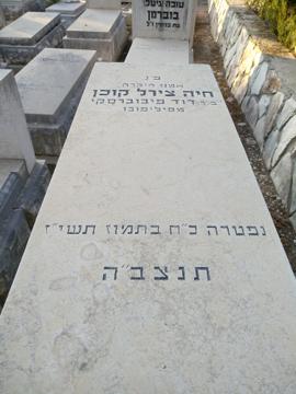 תמונת מצבה