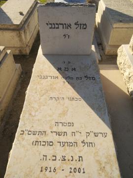 תמונת מצבה