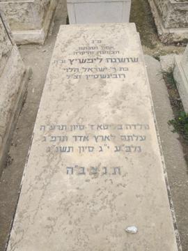 תמונת מצבה