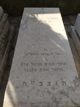 תמונת מצבה
