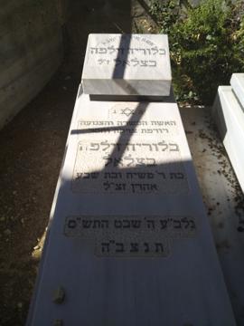 תמונת מצבה
