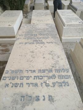 תמונת מצבה