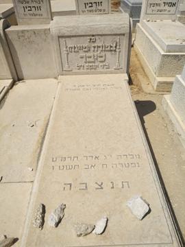 תמונת מצבה