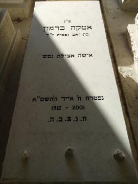 תמונת מצבה