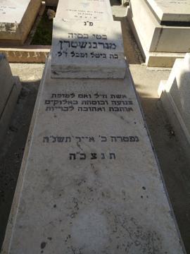 תמונת מצבה