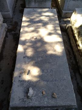 תמונת מצבה