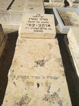 תמונת מצבה