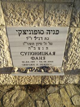 תמונת מצבה