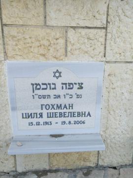 תמונת מצבה