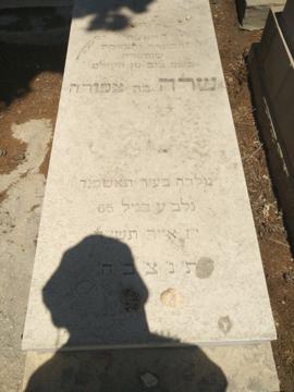 תמונת מצבה