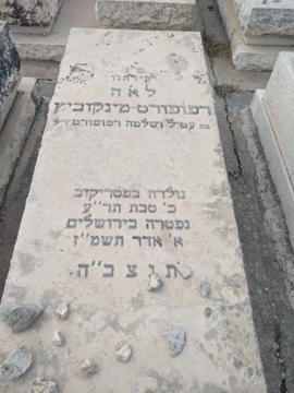 תמונת מצבה